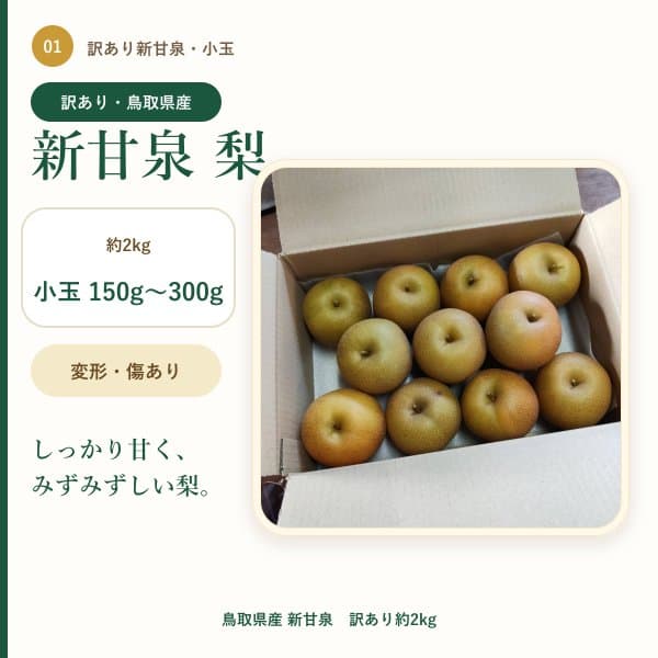梨 1